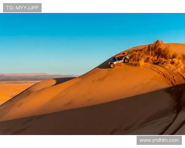 极限运动战术解析上海极限运动队中路突破体系的创新与实践